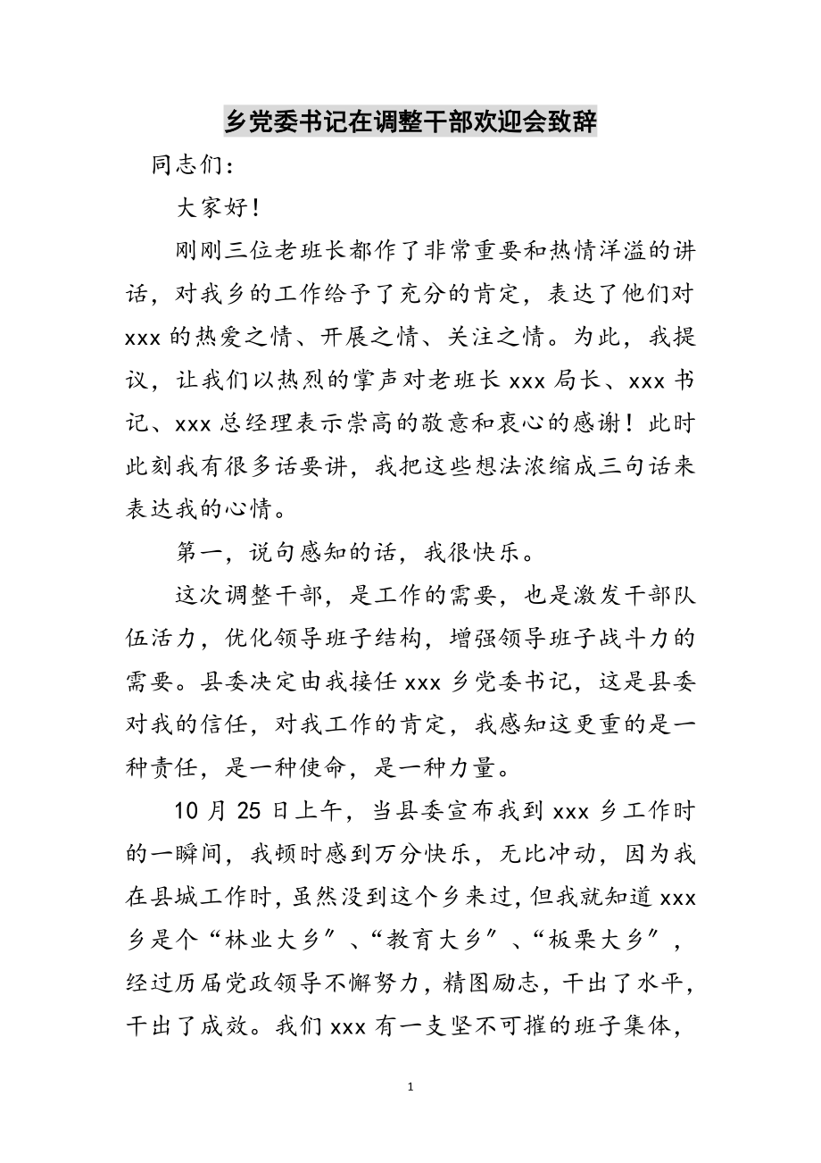 2023年乡党委书记在调整干部欢送会致辞范文.doc_第1页