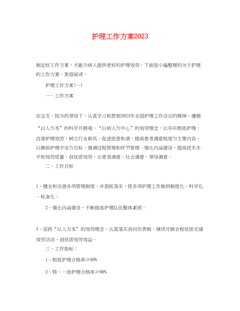 2023年护理工作计划 2.docx_第1页