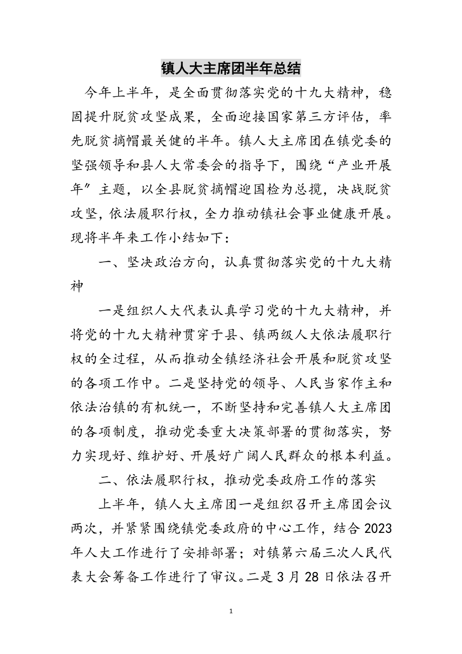 2023年镇人大主席团半年总结范文.doc_第1页