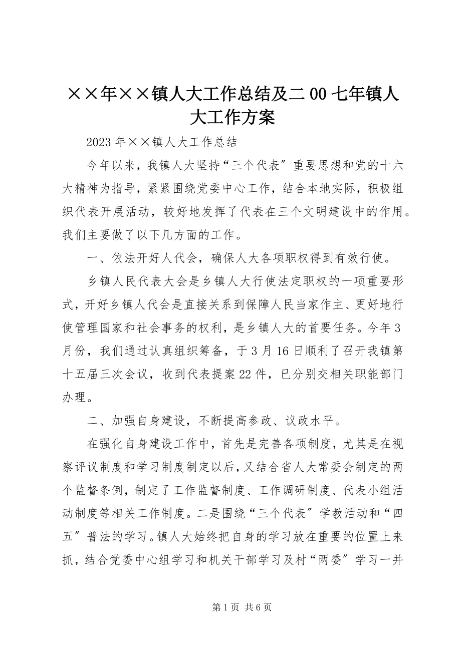 2023年××镇人大工作总结及二七年镇人大工作计划新编.docx_第1页