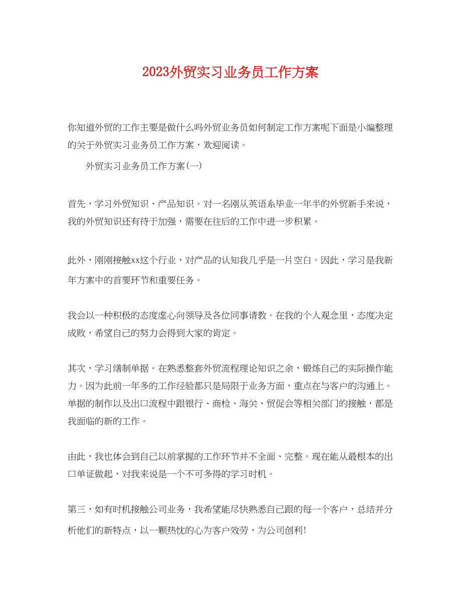 2023年外贸实习业务员工作计划.docx_第1页