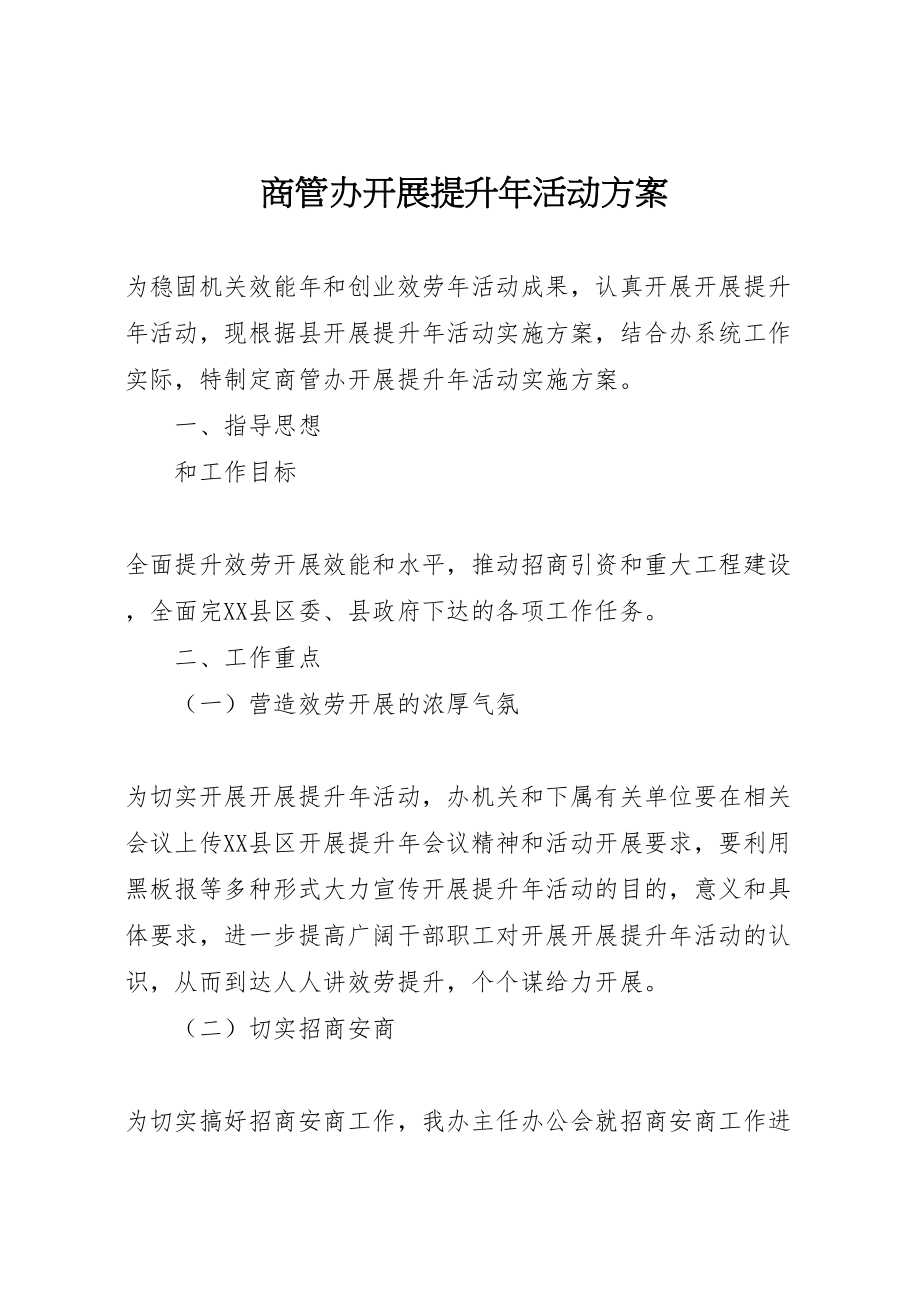 2023年商管办发展提升年活动方案.doc_第1页