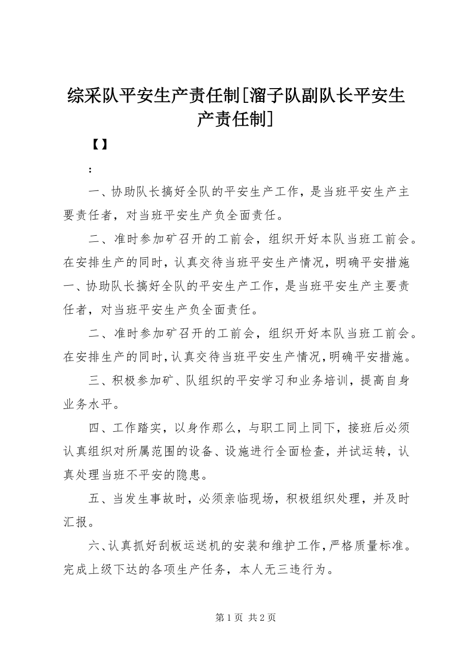 2023年综采队安全生产责任制溜子队副队长安全生产责任制.docx_第1页