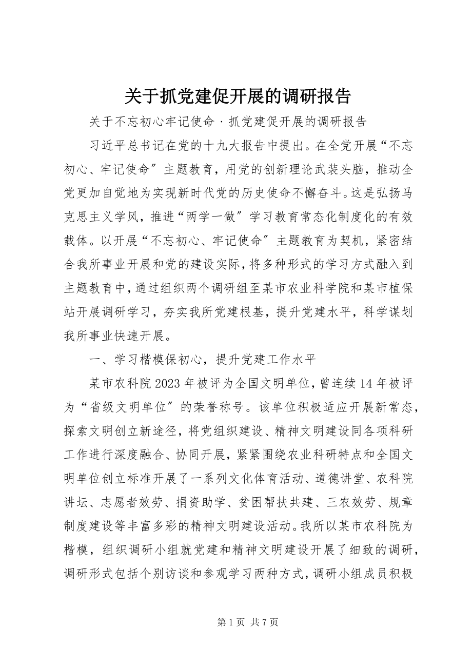 2023年抓党建促发展的调研报告.docx_第1页