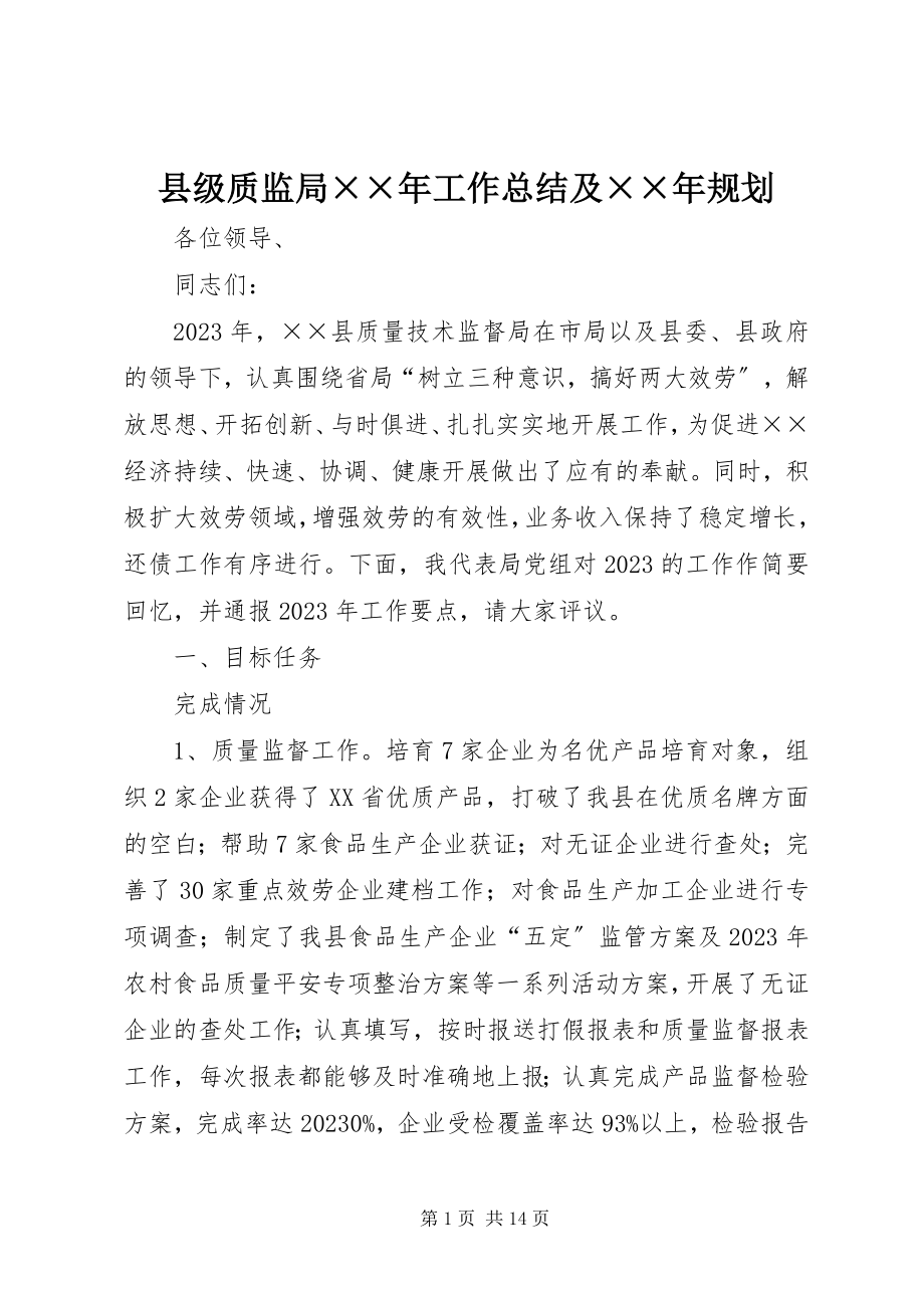 2023年县级质监局工作总结及规划2.docx_第1页