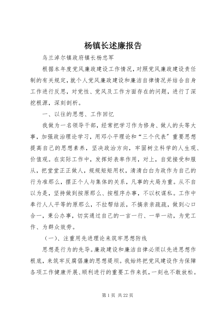 2023年杨镇长述廉报告.docx_第1页