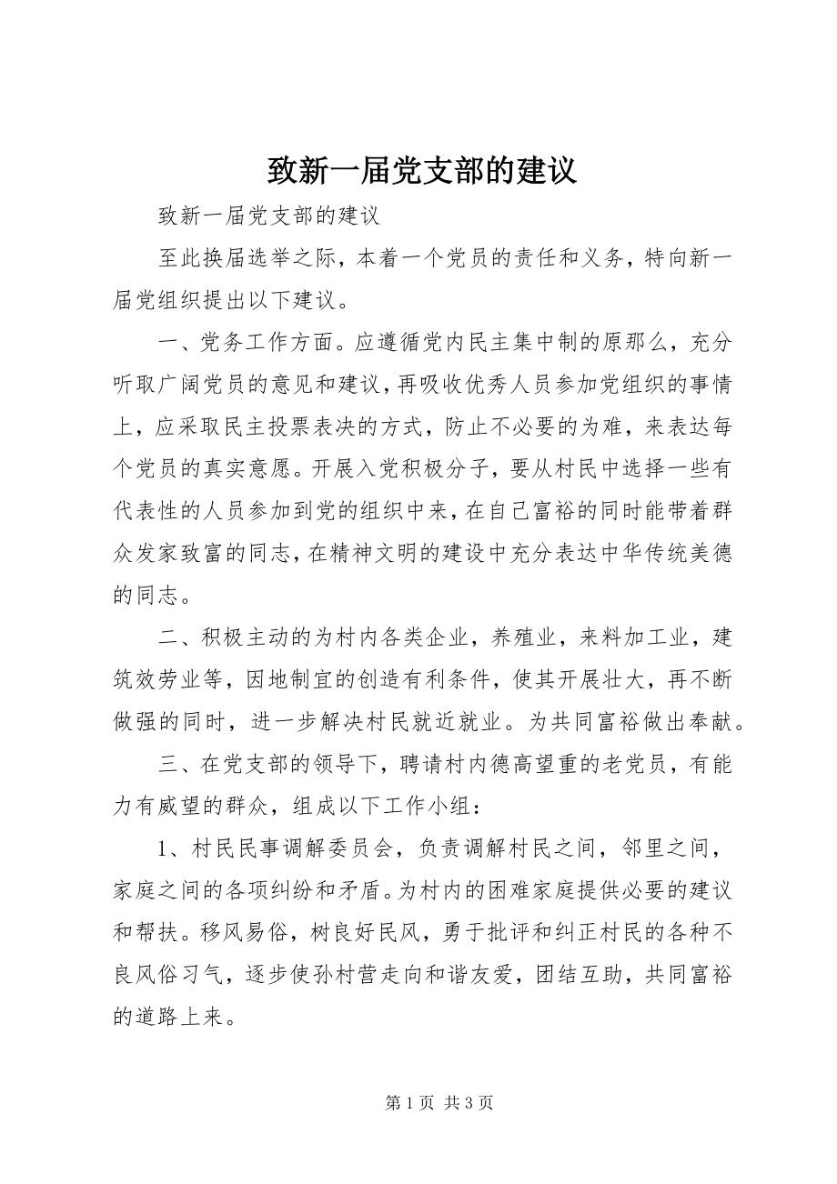 2023年致新一届党支部的建议.docx_第1页