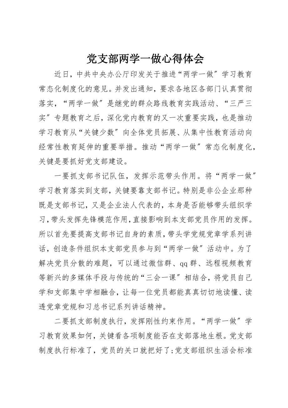 2023年党支部两学一做心得体会.docx_第1页