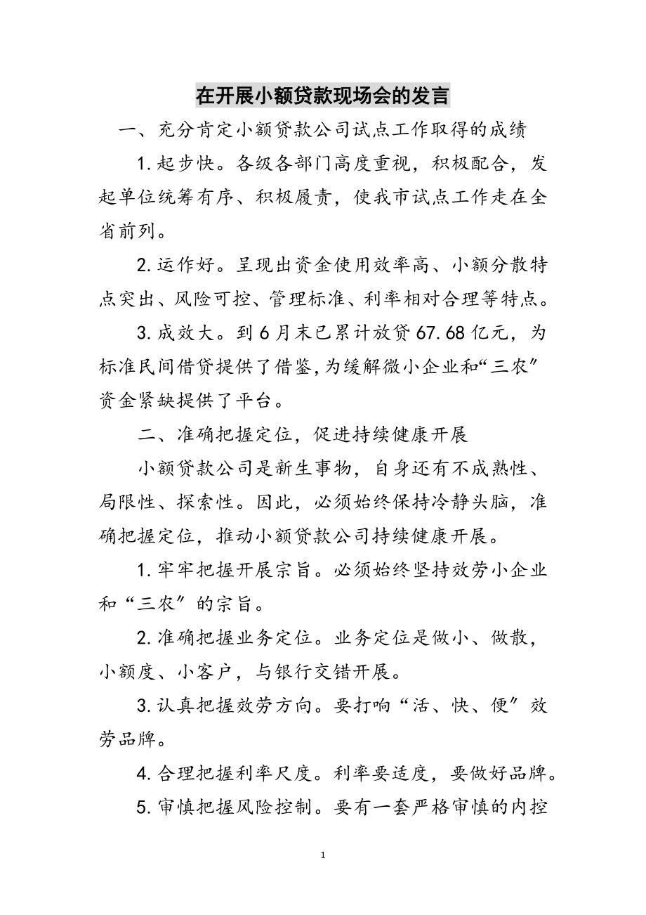 2023年在发展小额贷款现场会的发言范文.doc_第1页