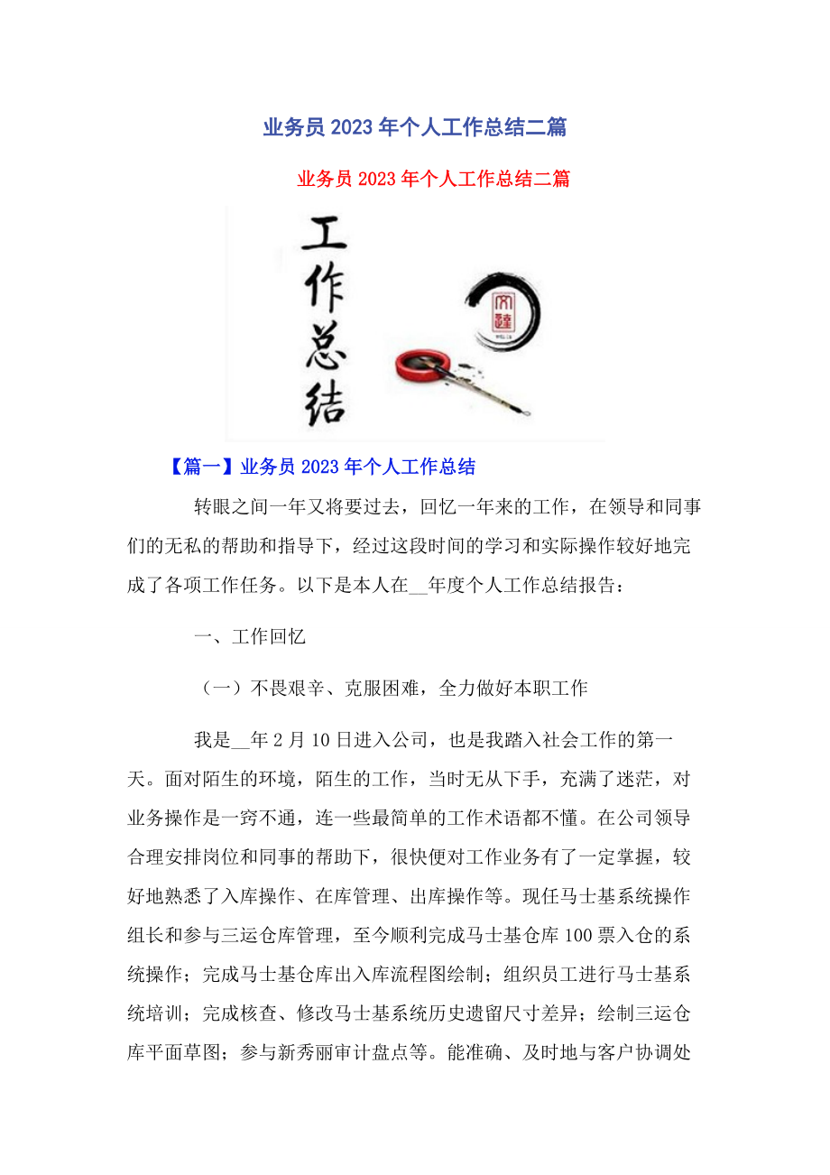 2023年业务员个人工作总结二篇.docx_第1页