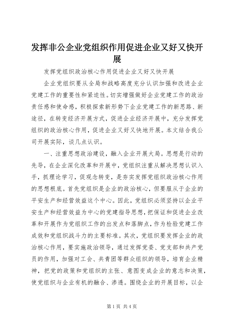 2023年发挥非公企业党组织作用促进企业又好又快发展.docx_第1页