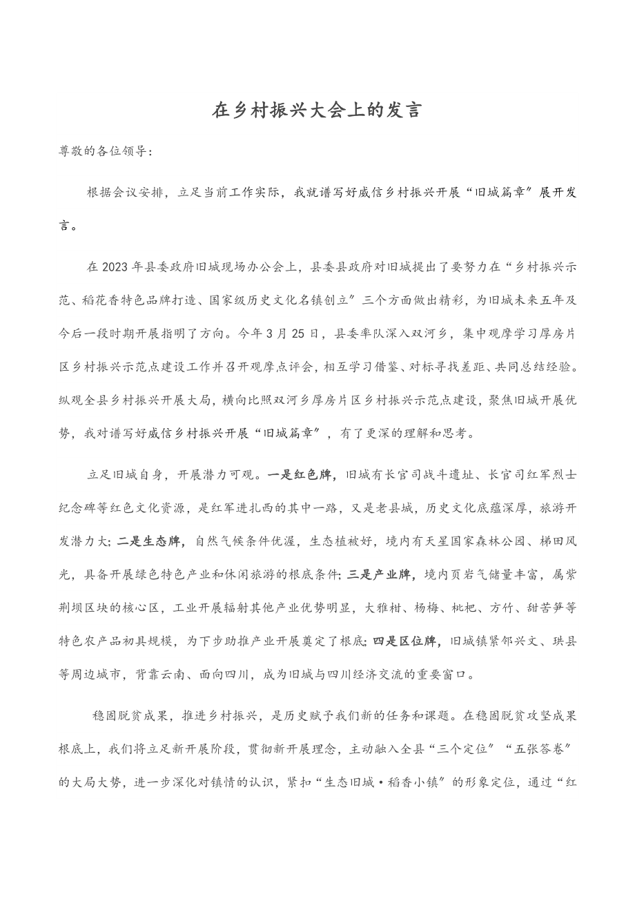 2023年在乡村振兴大会上的发言.docx_第1页