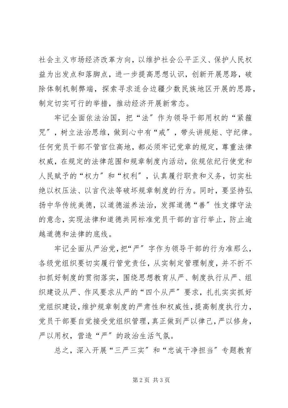 2023年三严三实忠诚干净担当专题教育心得体会.docx_第2页