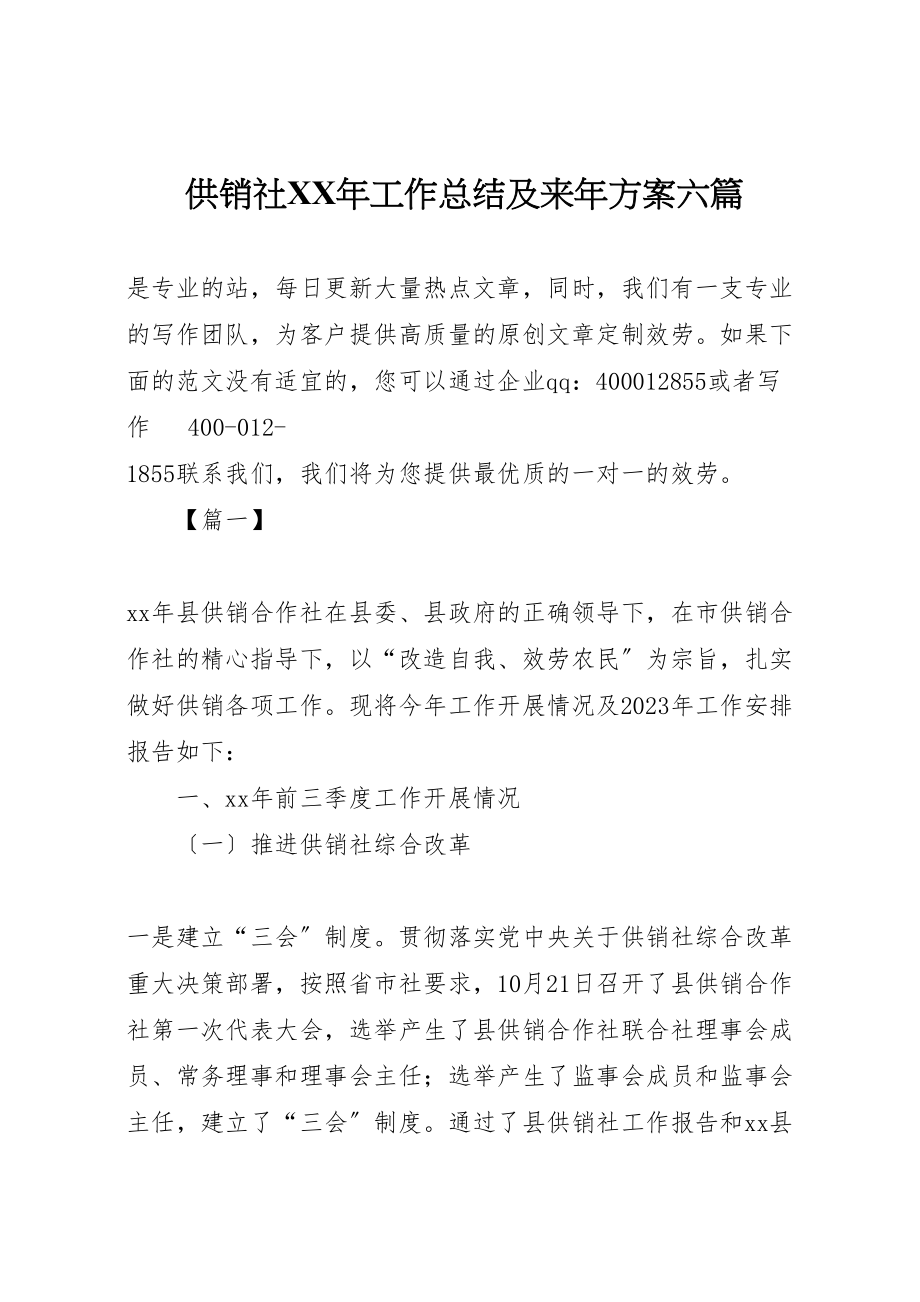 2023年供销社某年工作总结及来年计划六篇.doc_第1页