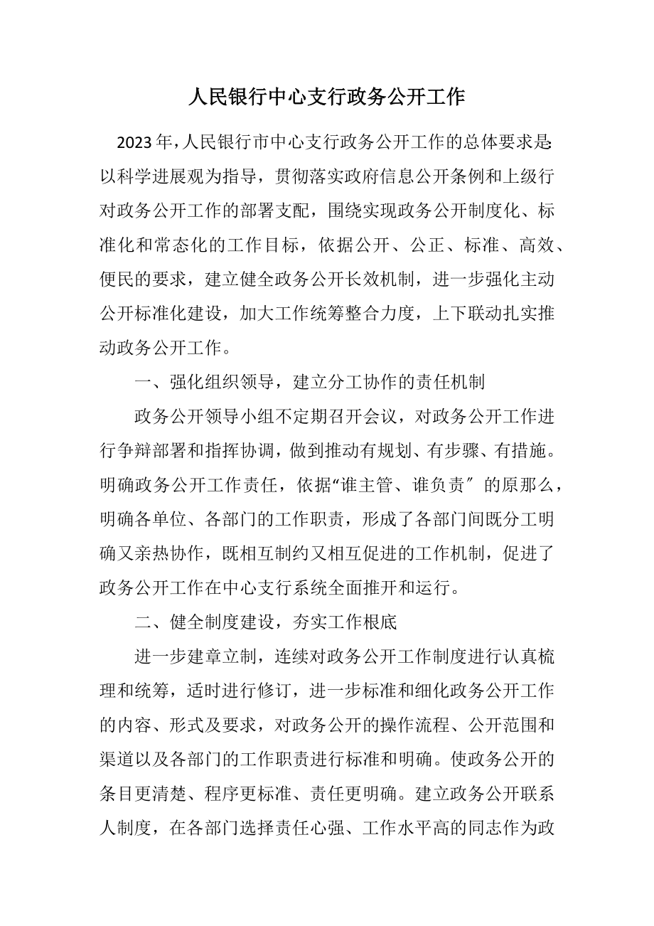 2023年人民银行中心支行政务公开工作计划.docx_第1页