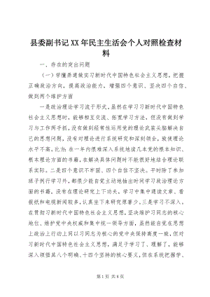 2023年县委副书记民主生活会个人对照检查材料.docx