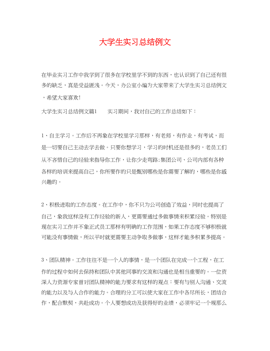 2023年大学生实习总结例文.docx_第1页