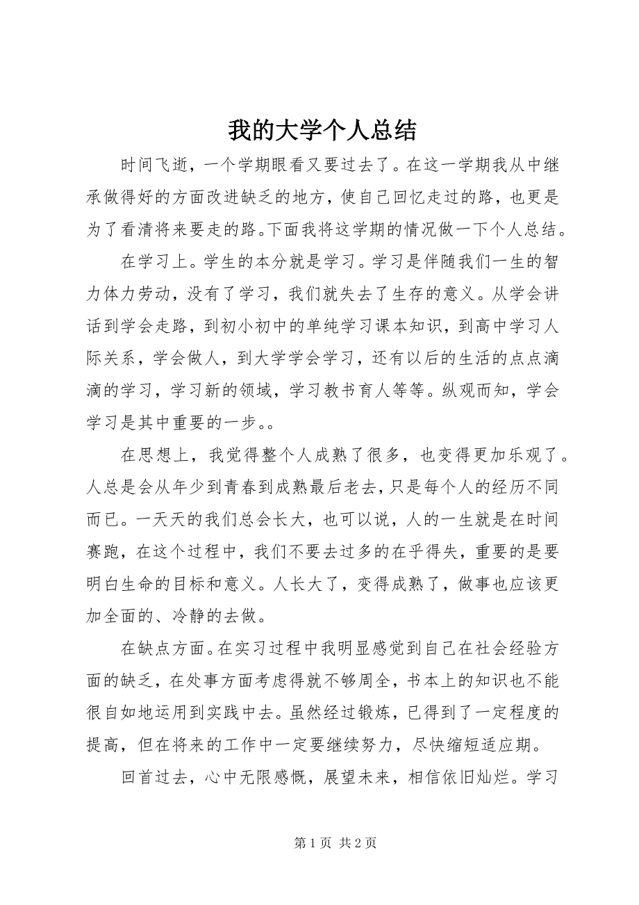 2023年我的大学个人总结.docx_第1页