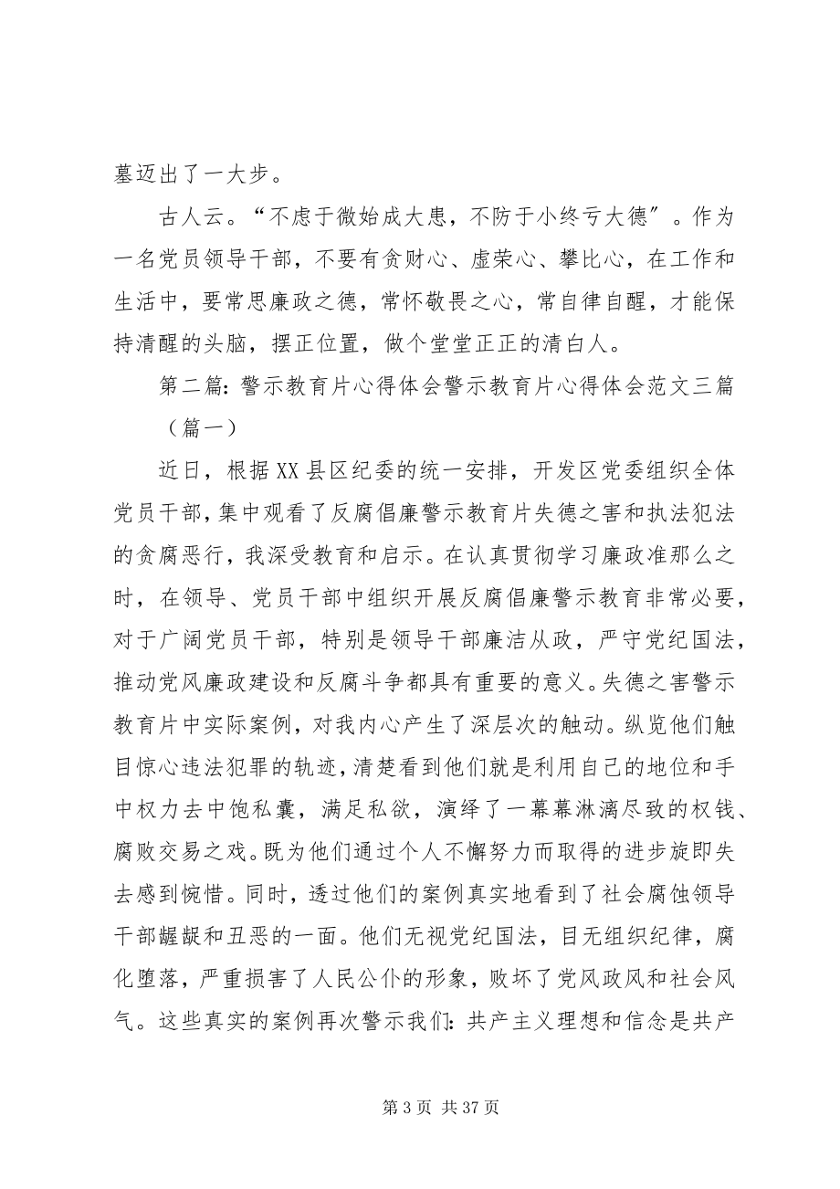 2023年警示片心得体会.docx_第3页