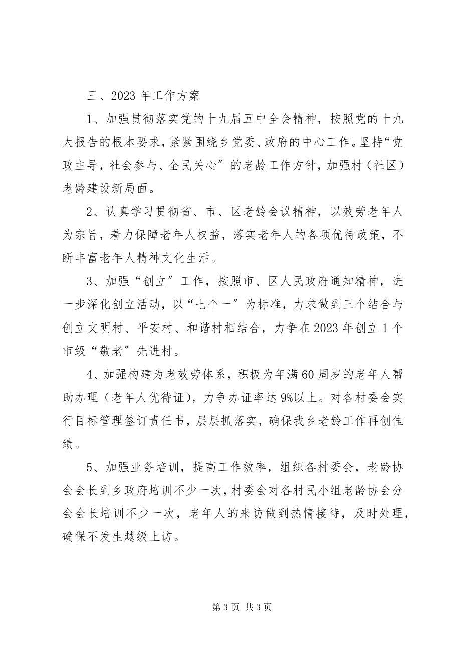 2023年乡镇老龄办工作总结2.docx_第3页