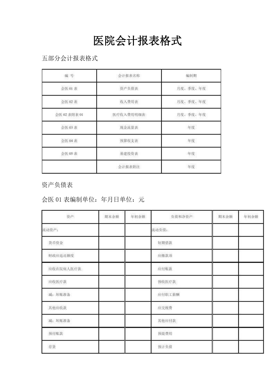 2023年医院会计报表格式.doc_第1页