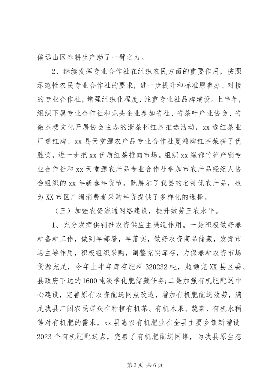 2023年供销社某年上半年工作总结及下半年工作计划.docx_第3页