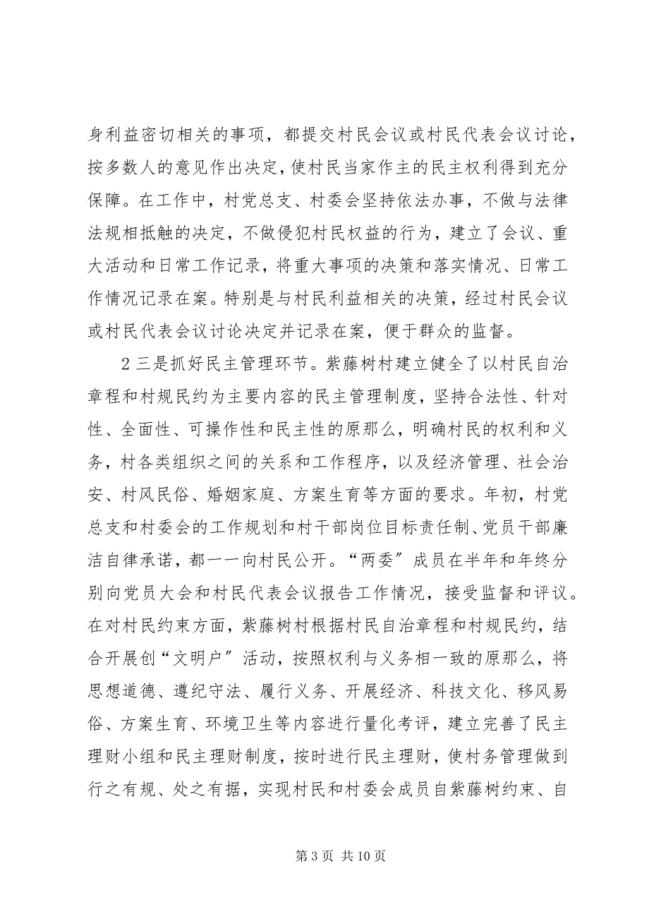 2023年民主法治示范村汇报材料.docx_第3页