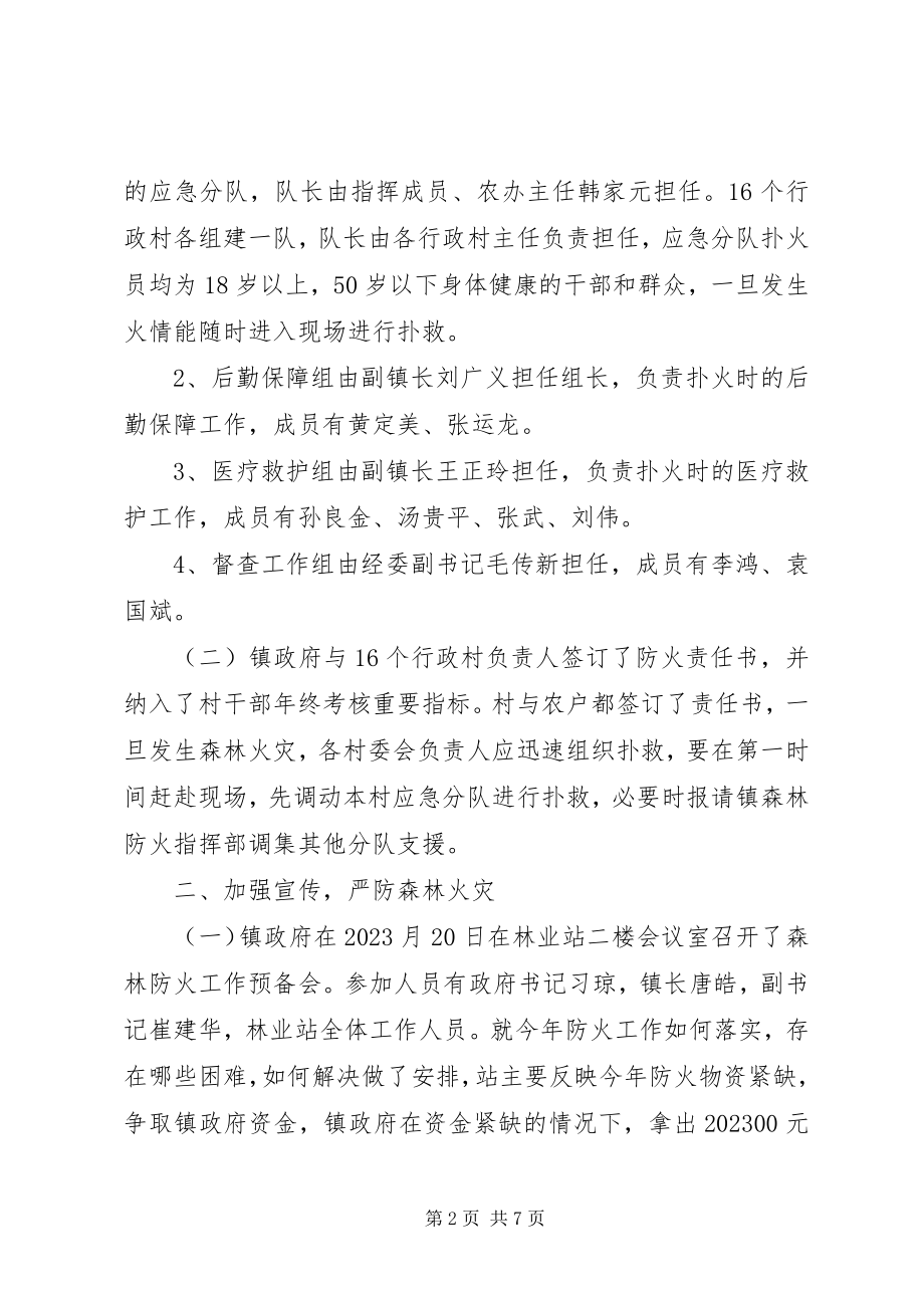 2023年森林防火工作总结总结.docx_第2页