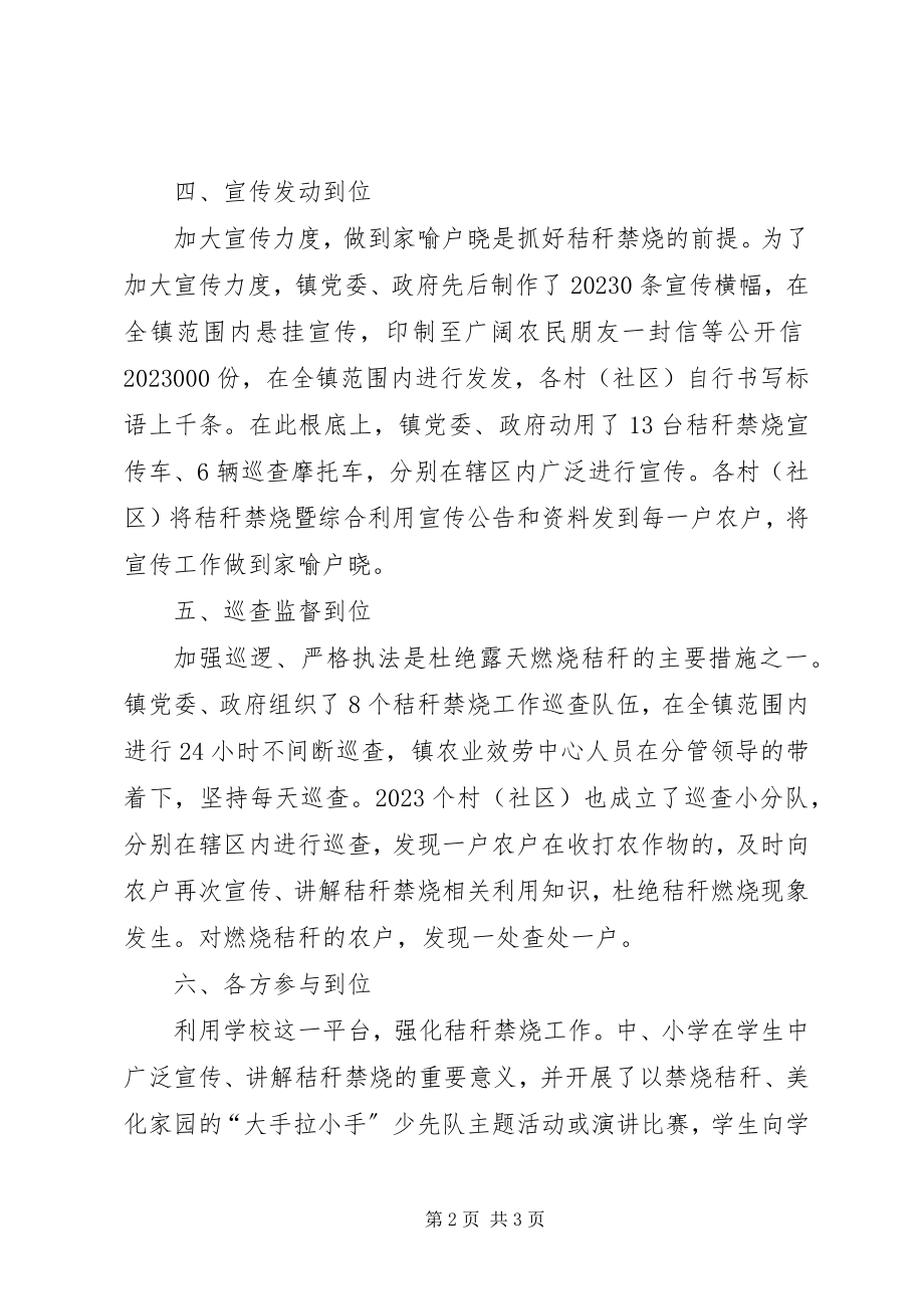 2023年小春秸秆禁烧暨综合利用工作总结.docx_第2页