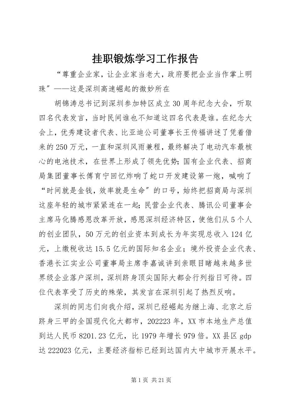 2023年挂职锻炼学习工作报告.docx_第1页