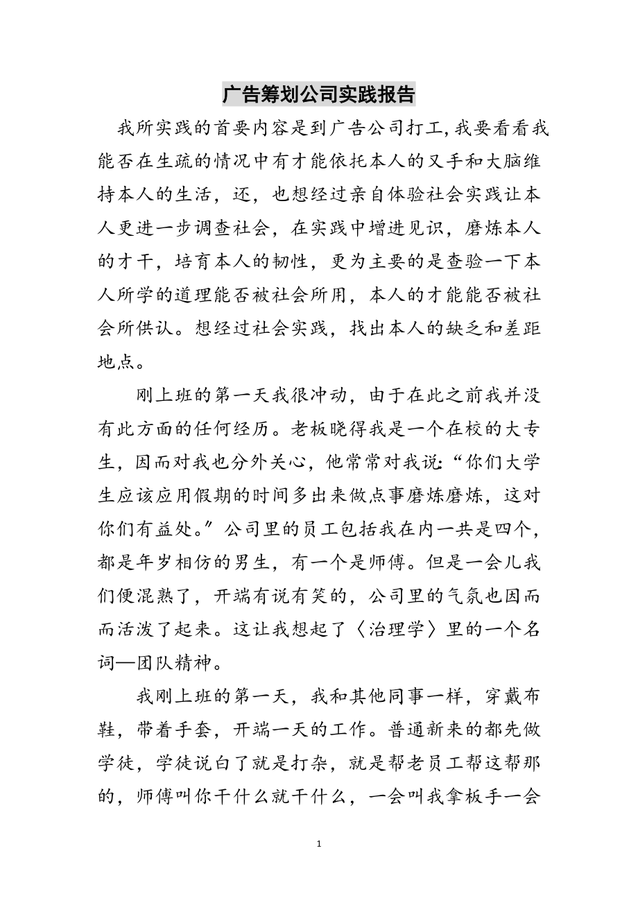 2023年广告策划公司实践报告范文.doc_第1页