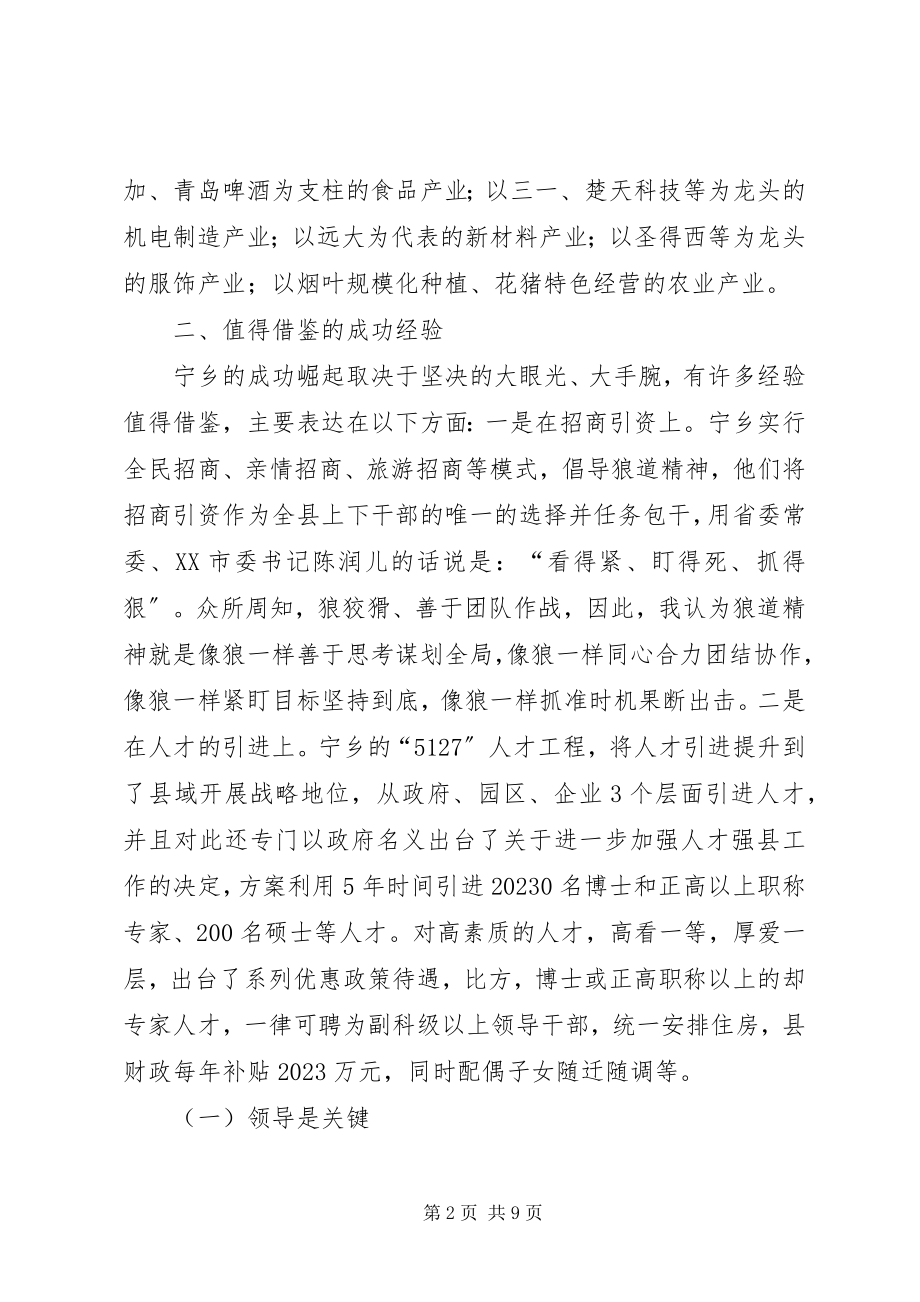 2023年市招商引资调研报告.docx_第2页