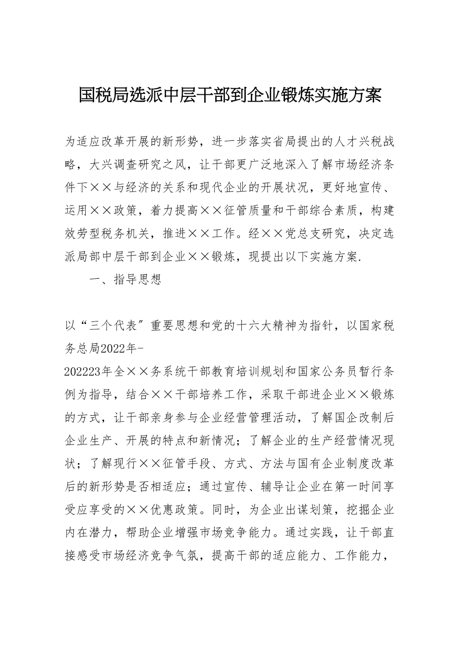 2023年国税局选派中层干部到企业锻炼实施方案 6.doc_第1页