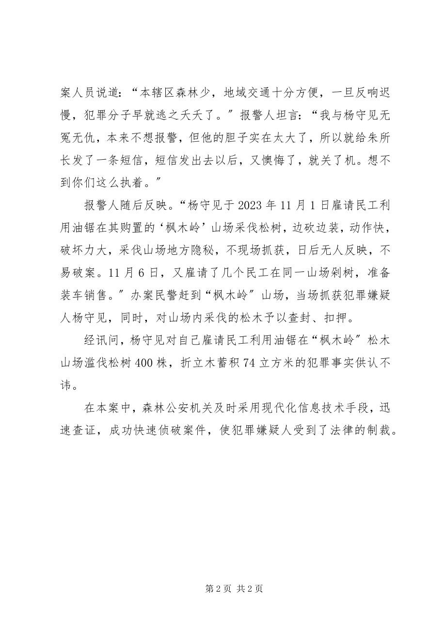 2023年杨守见滥伐林木案.docx_第2页