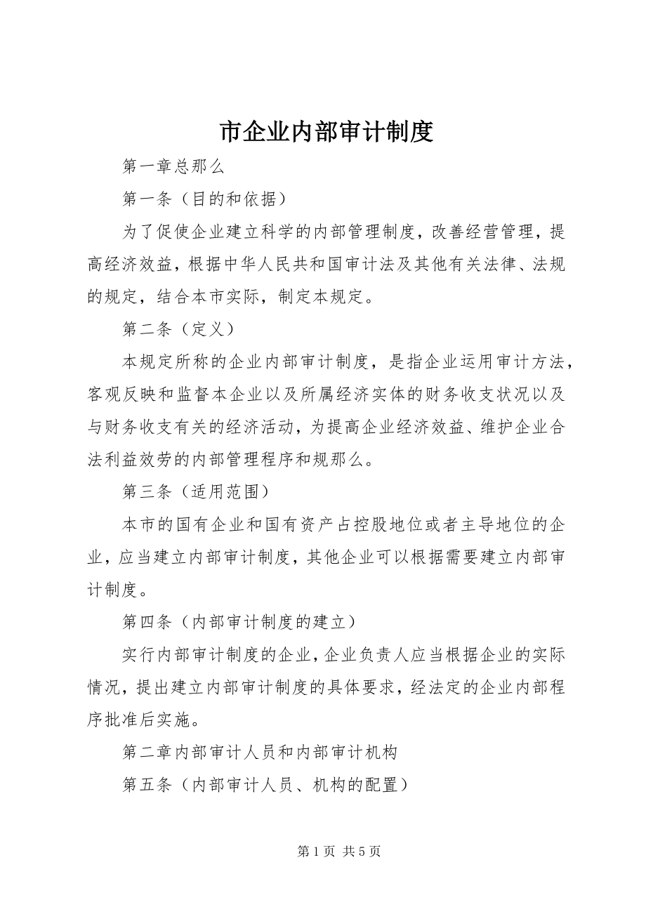 2023年市企业内部审计制度.docx_第1页