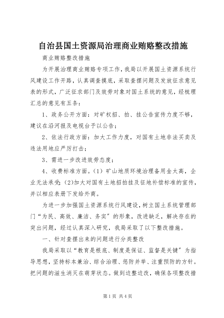 2023年自治县国土资源局治理商业贿赂整改措施.docx_第1页