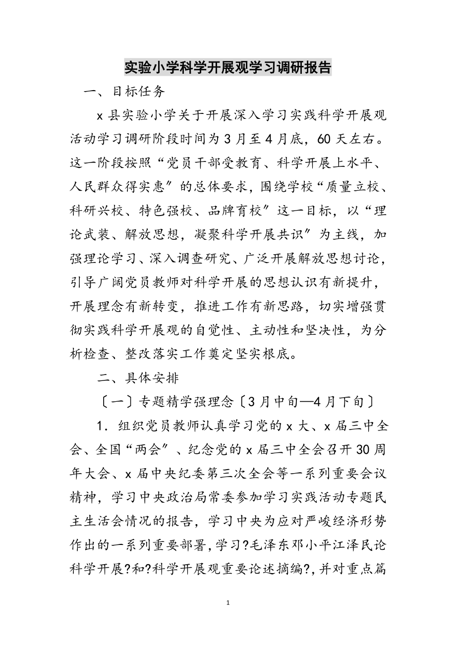 2023年实验小学科学发展观学习调研报告范文.doc_第1页