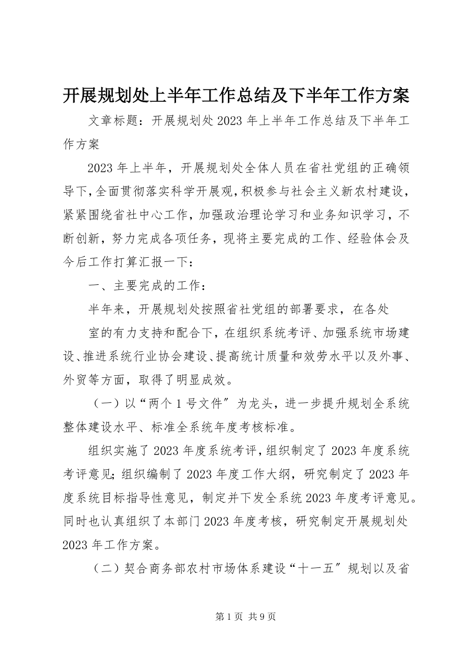 2023年发展规划处上半年工作总结及下半年工作计划.docx_第1页