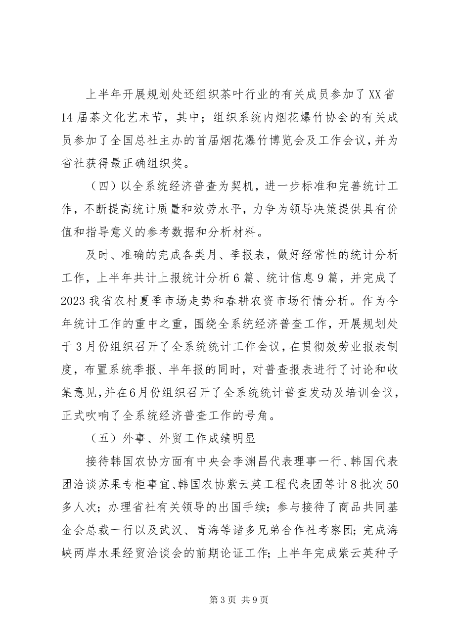 2023年发展规划处上半年工作总结及下半年工作计划.docx_第3页