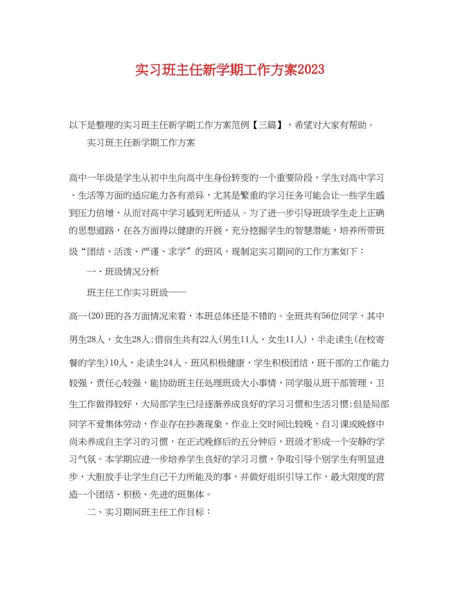 2023年实习班主任新学期工作计划.docx_第1页