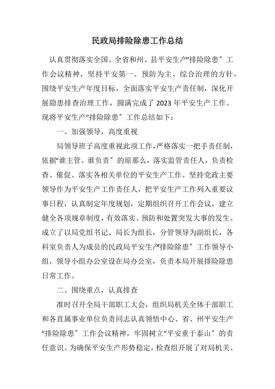 2023年民政局排险除患工作总结.docx_第1页