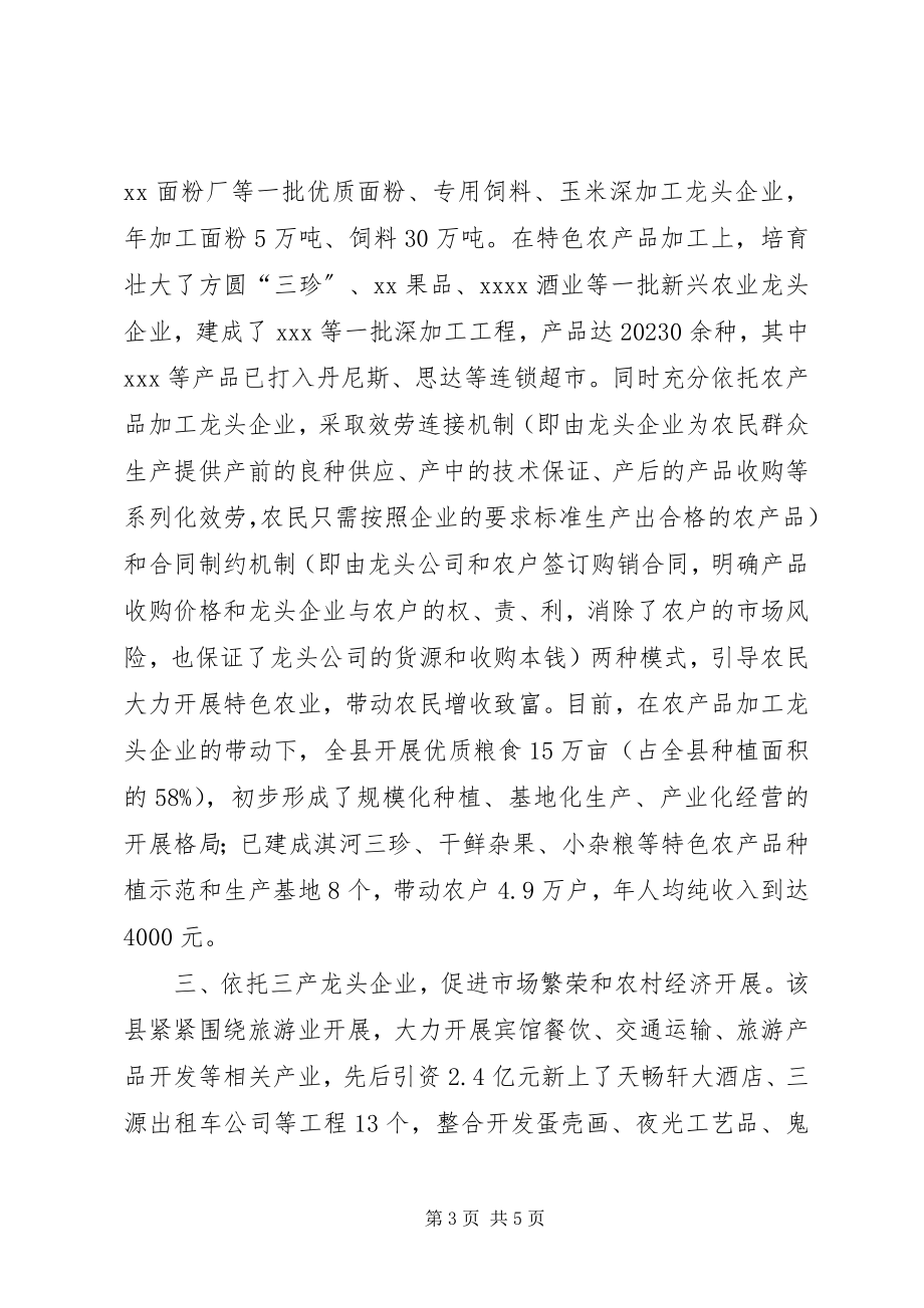 2023年以企带村村企共赢依托龙头企业推动新农村建设经验.docx_第3页