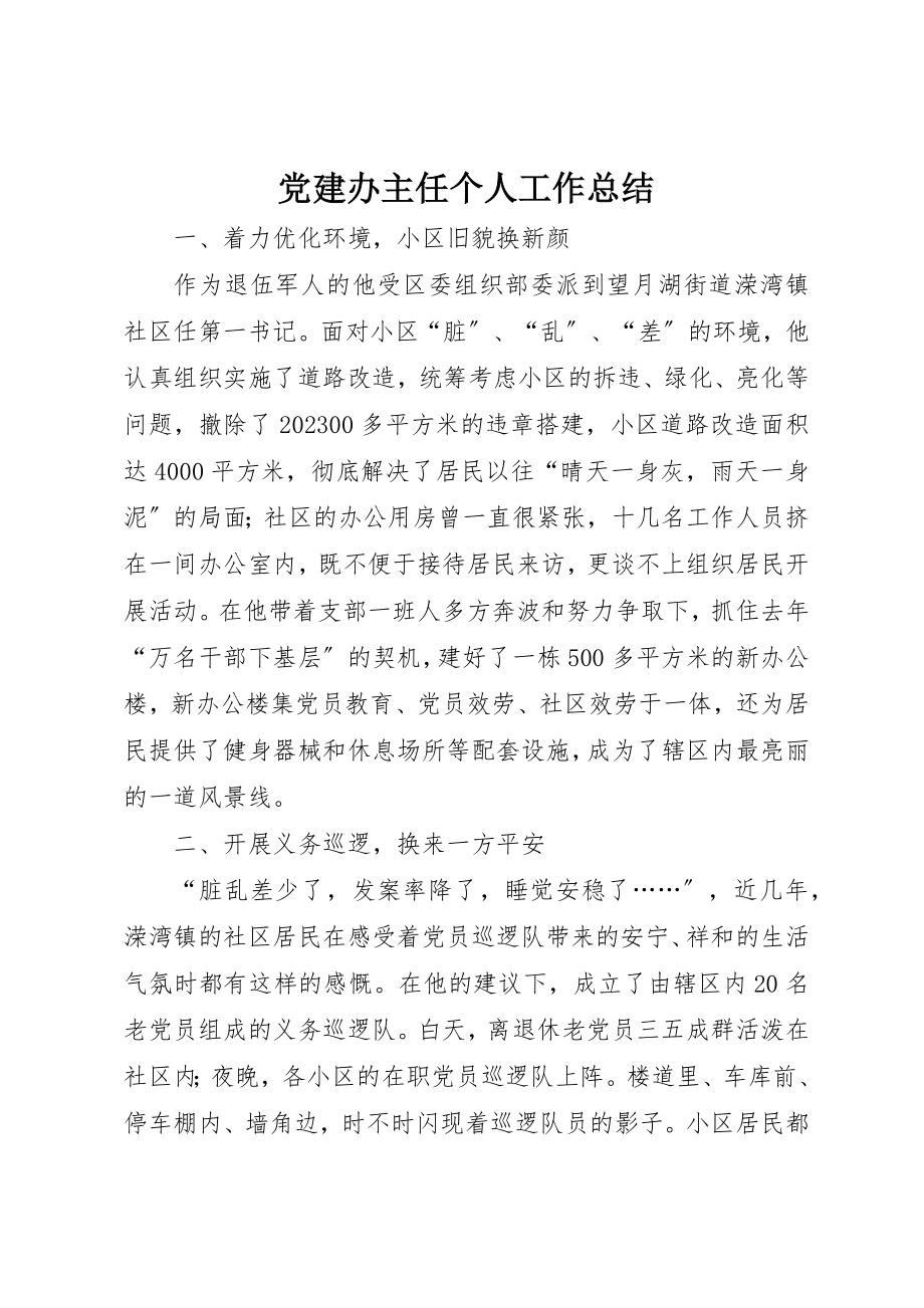 2023年党建办主任个人工作总结.docx_第1页