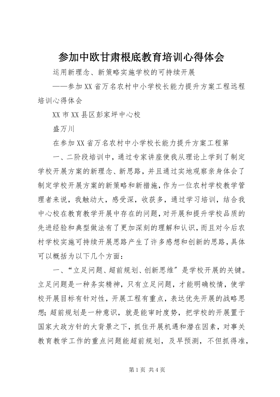 2023年参加中欧甘肃基础教育培训心得体会新编.docx_第1页