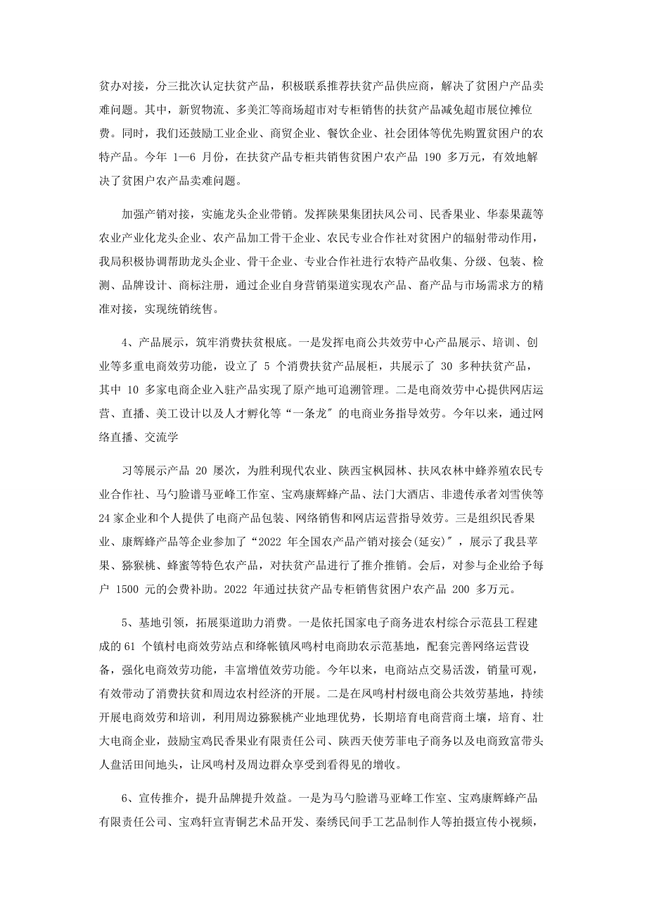 2023年消费扶贫工作情况总结2.docx_第3页