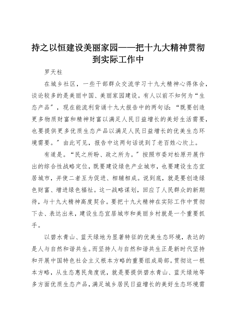 2023年持之以恒建设美丽家园把十九大精神贯彻到实际工作中新编.docx_第1页