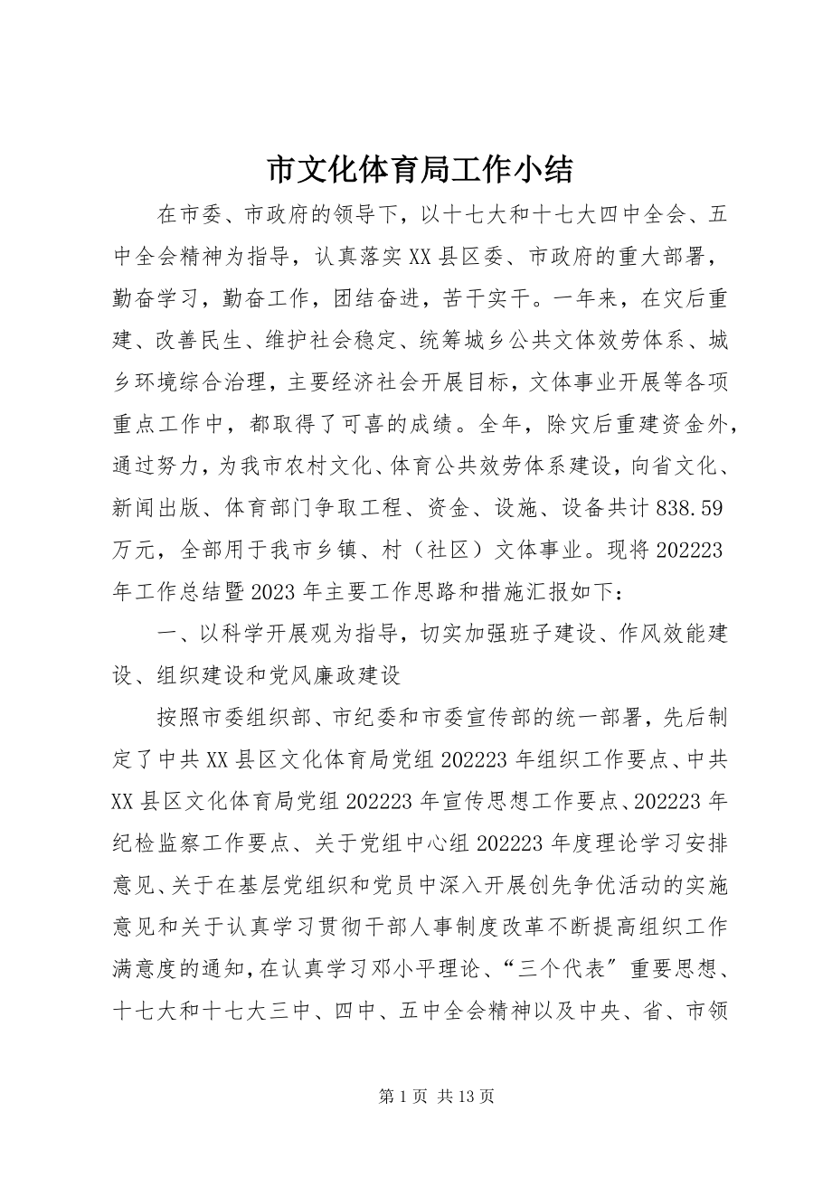 2023年市文化体育局工作小结.docx_第1页