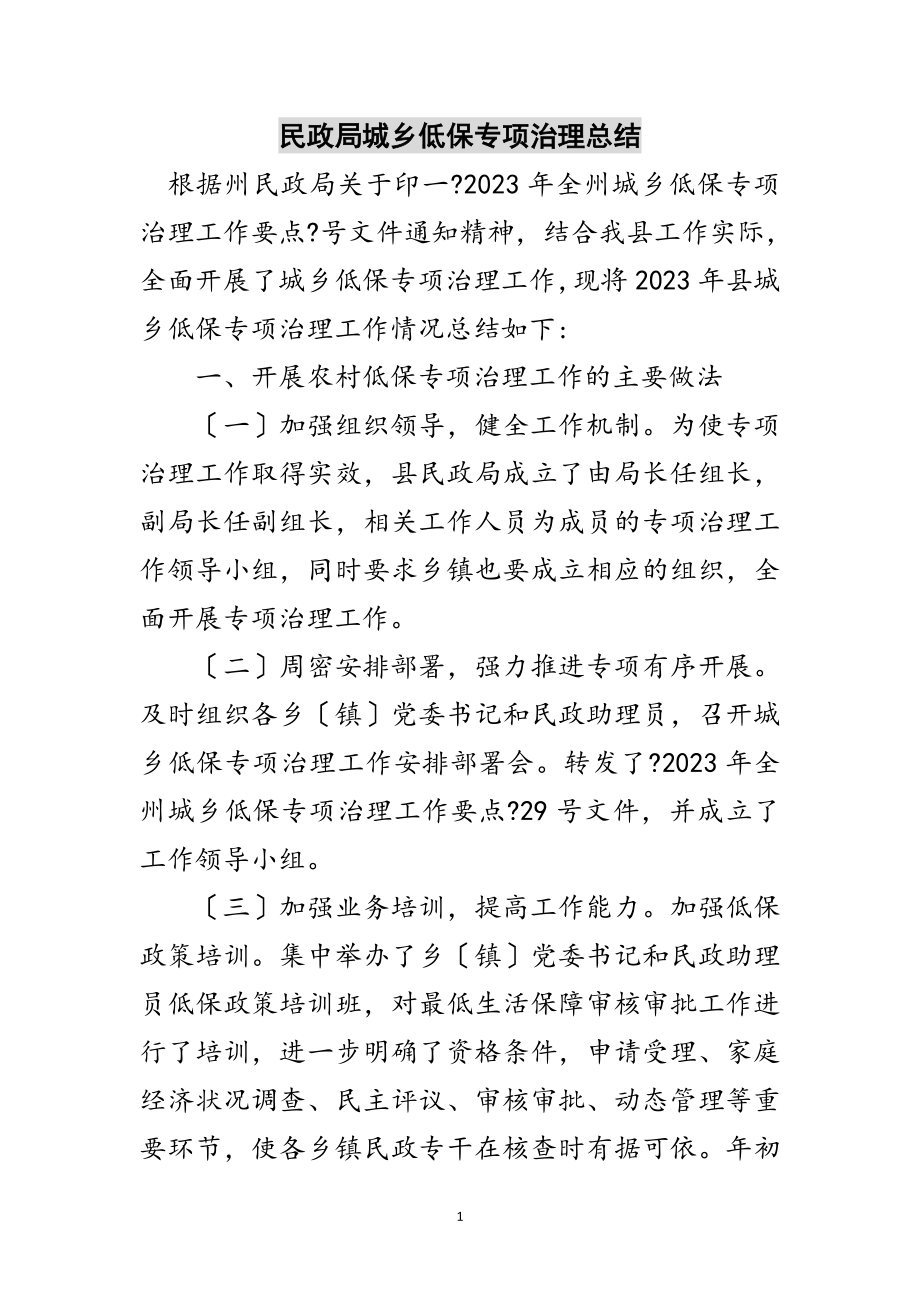 2023年民政局城乡低保专项治理总结范文.doc_第1页