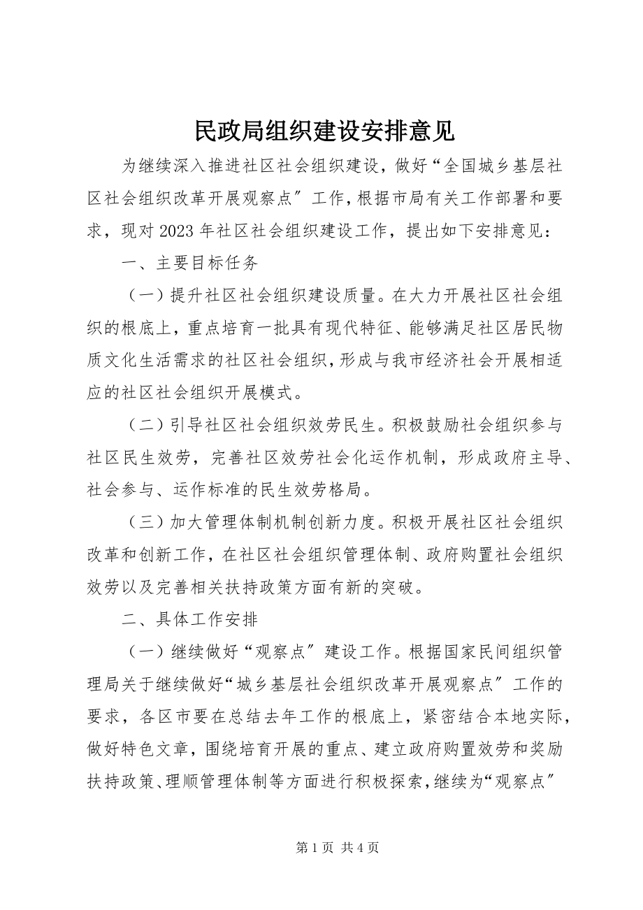 2023年民政局组织建设安排意见.docx_第1页