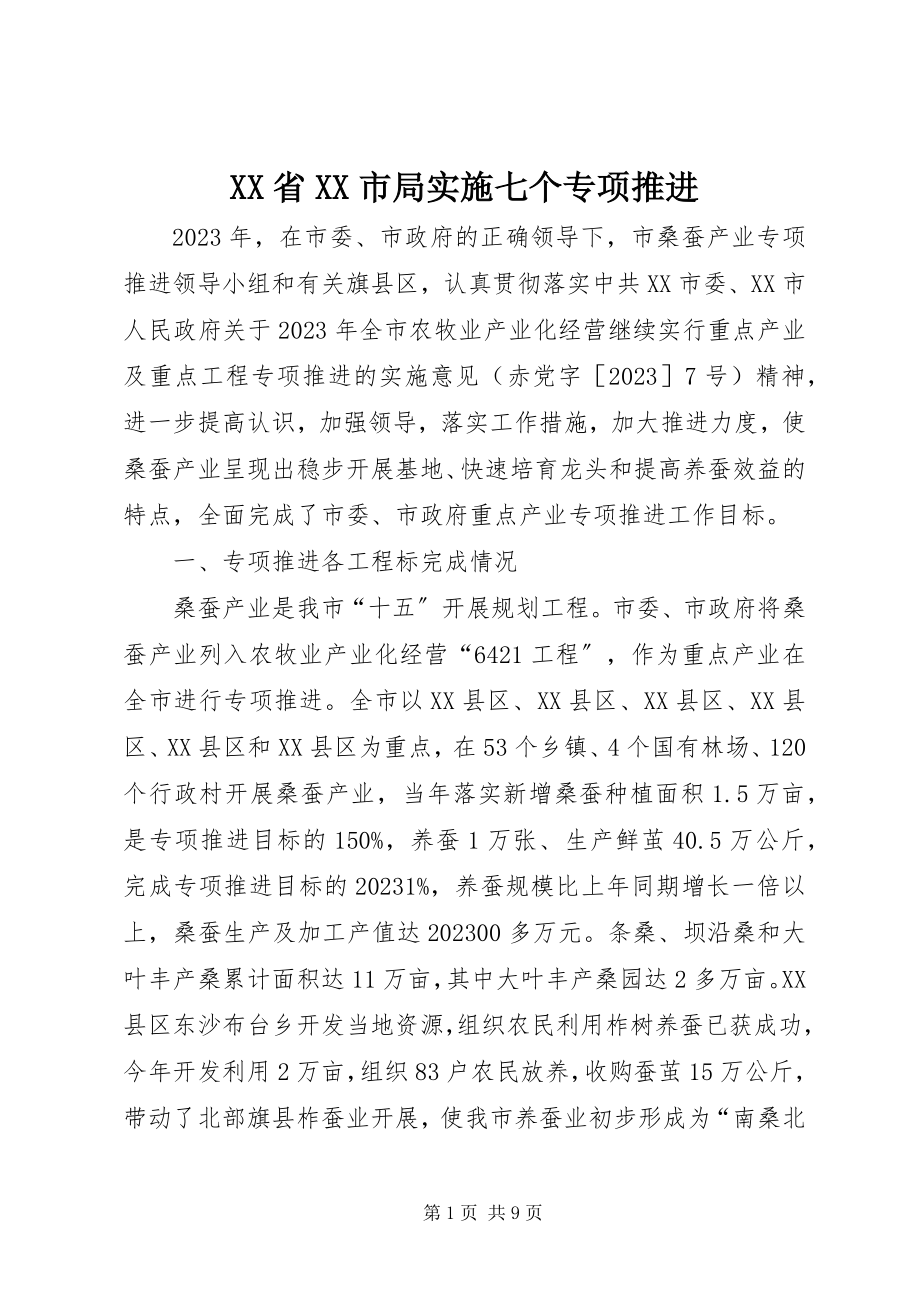 2023年XX省XX市局实施七个专项推进新编.docx_第1页